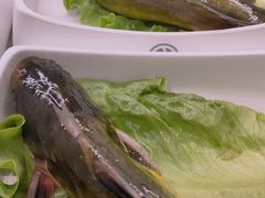 -冠菌火锅自助(东莞桥头店)