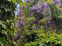 -李叔同故居纪念馆