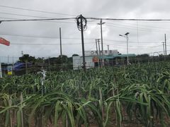 -硇洲岛旅游区