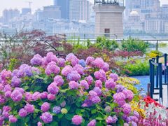 -北外滩滨江绿地