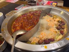 -大龙燚火锅(春熙店)