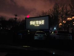 -枫花园汽车电影院(朝阳公园店)