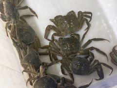 -七的湖·江南蟹舫·阳澄湖农家菜(蟹舫苑店)