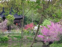 -南汇桃花村