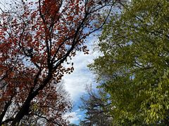 -国家植物园南园