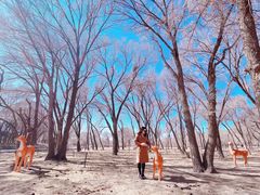 -新疆天山野生动物园