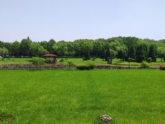 -宜兴龙背山森林公园