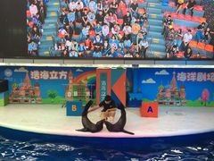 -成都浩海立方海洋公园