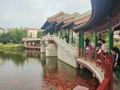-西海子公园