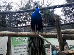 android_upload_pic-迎泽公园