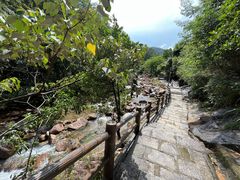 -广州白江湖森林公园