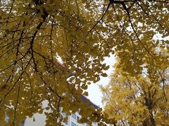 -四川大学华西医院-地下停车场