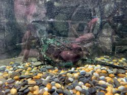 -Zoolung Zoolung动物主题公园(海信广场店)