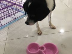 -资和信百货商场