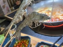 -湊湊火锅·茶憩(上海合生汇店)