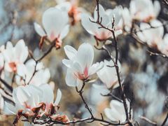 -韩湘水博园