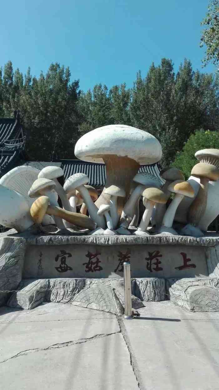 上庄蘑菇园-"天气好的时候跟朋友们一起来烧烤钓鱼打牌非.