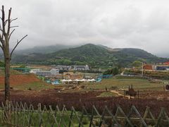 -瓷天下海丝谷