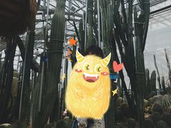 -南山植物园