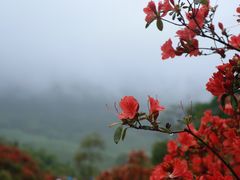 -篁岭景区
