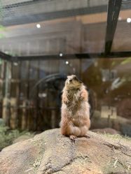 -造物庄园 萌宠纪(苏州湾歌林公园店)