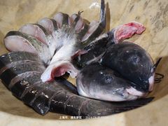 -云中鱼蒸汽石锅鱼(川沙百联店)
