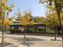 -莲花池公园