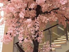 -汤里来温泉