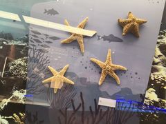 -上海中国航海博物馆