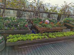 -冰冰龙虾·江湖菜·花园江景餐厅