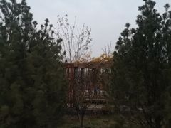 -太原动物园