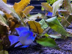 -上海海洋水族馆