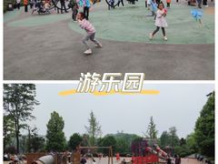 -枫香湖儿童公园