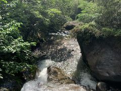 -大围山国家森林公园