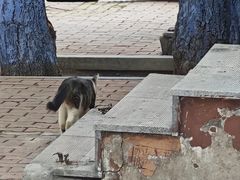 -圣·阿列克谢耶夫教堂