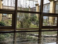 -北京德尔康尼骨科医院