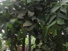 -金稼园·金平湖农家菜