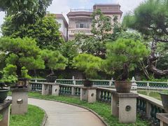 -碧江金楼