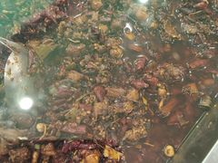 -鸿运兔·手撕烤兔(天府广场店)