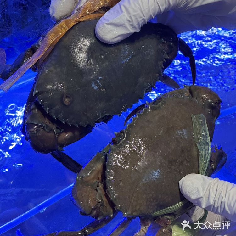 
啊啊啊‼️合肥也有吼吼吃的痛风锅惹[流泪][流泪]