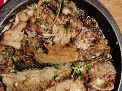 -聚鑫朋酸菜肥肠(文艺路口店)