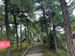 -铁山坪森林公园