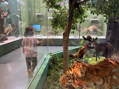 -国家自然博物馆