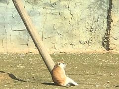 -杭州野生动物世界