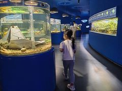 -欢乐海岸海洋奇梦馆