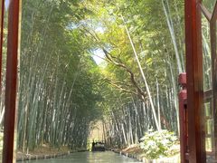 -同里国家湿地公园