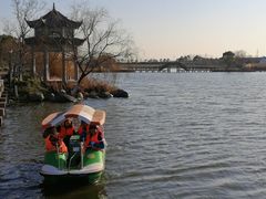 -杭州湾海上花田景区