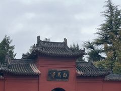 -洛阳白马寺