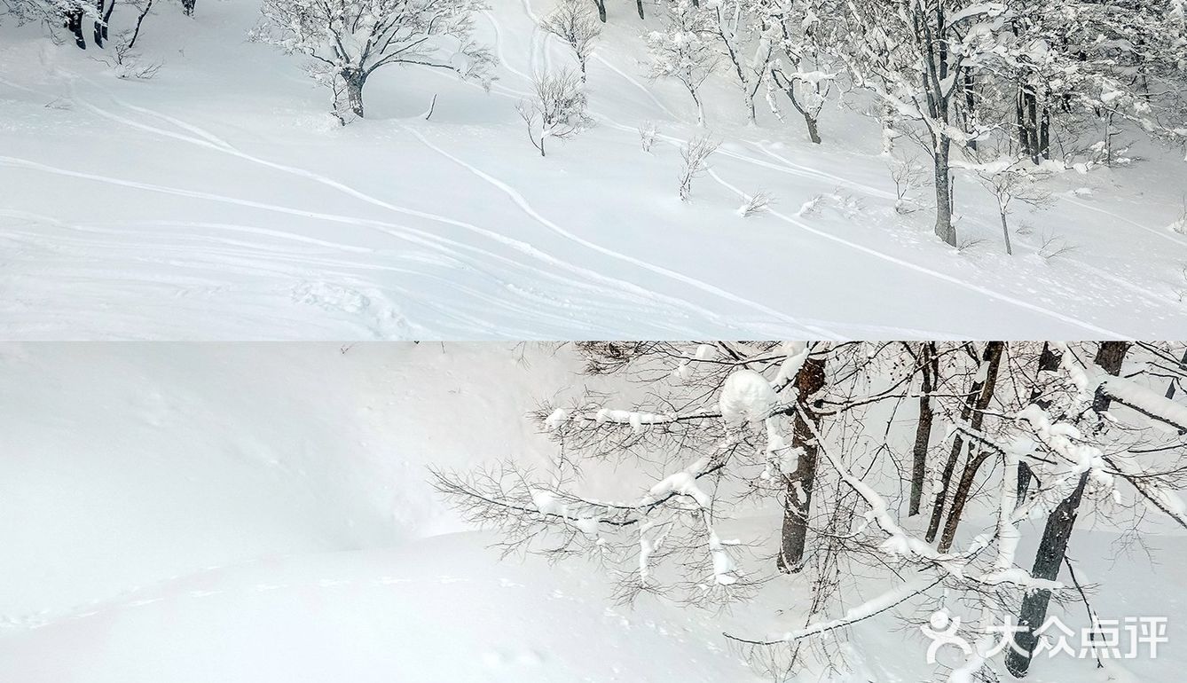 日本青森 | 比北海道更近的青森春天滑雪场