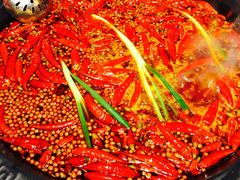 -蜀大侠火锅(建设路第五大道店)